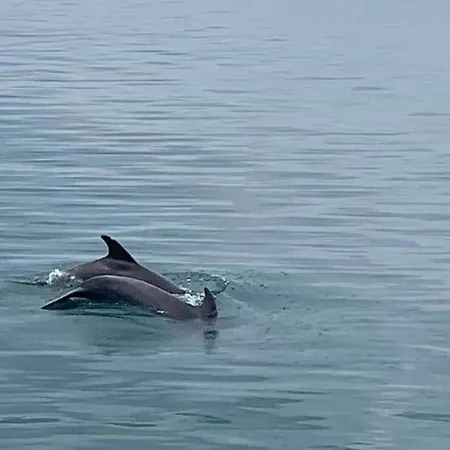 черно море ゲストハウス