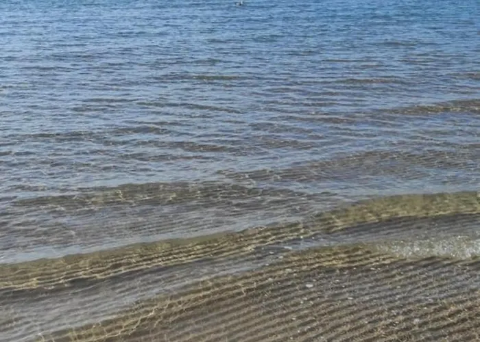 게스트하우스 черно море